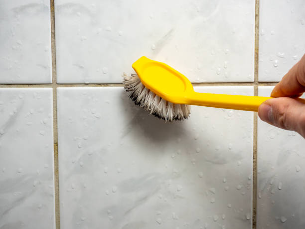 Best Commercial Mold Remediation in Westwood Shores, TX