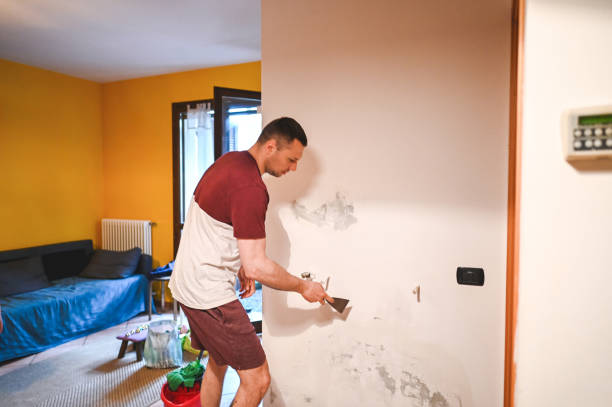 Best Industrial Mold Remediation in Westwood Shores, TX